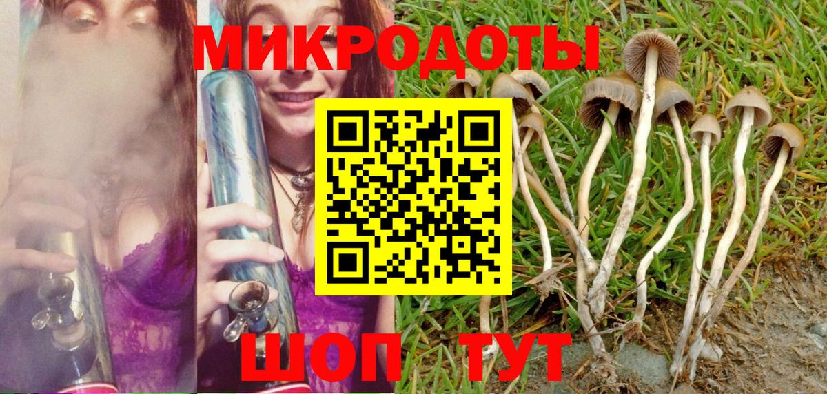 Псилоцибиновые грибы Magic Shrooms  Вход с VPN  Архангельск 